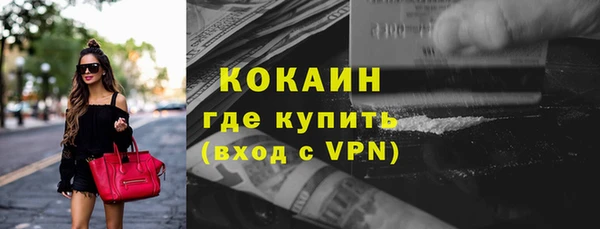 гидра Абаза