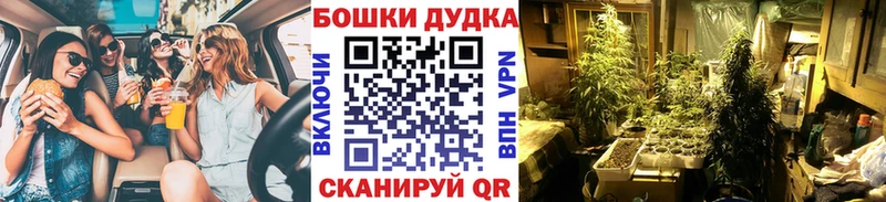 Бошки марихуана OG Kush  даркнет сайт  Нефтеюганск 